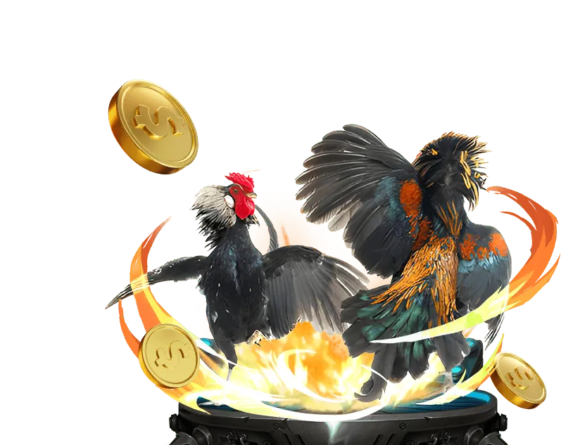 Tổng quan về Điều khoản dịch vụ 68vip